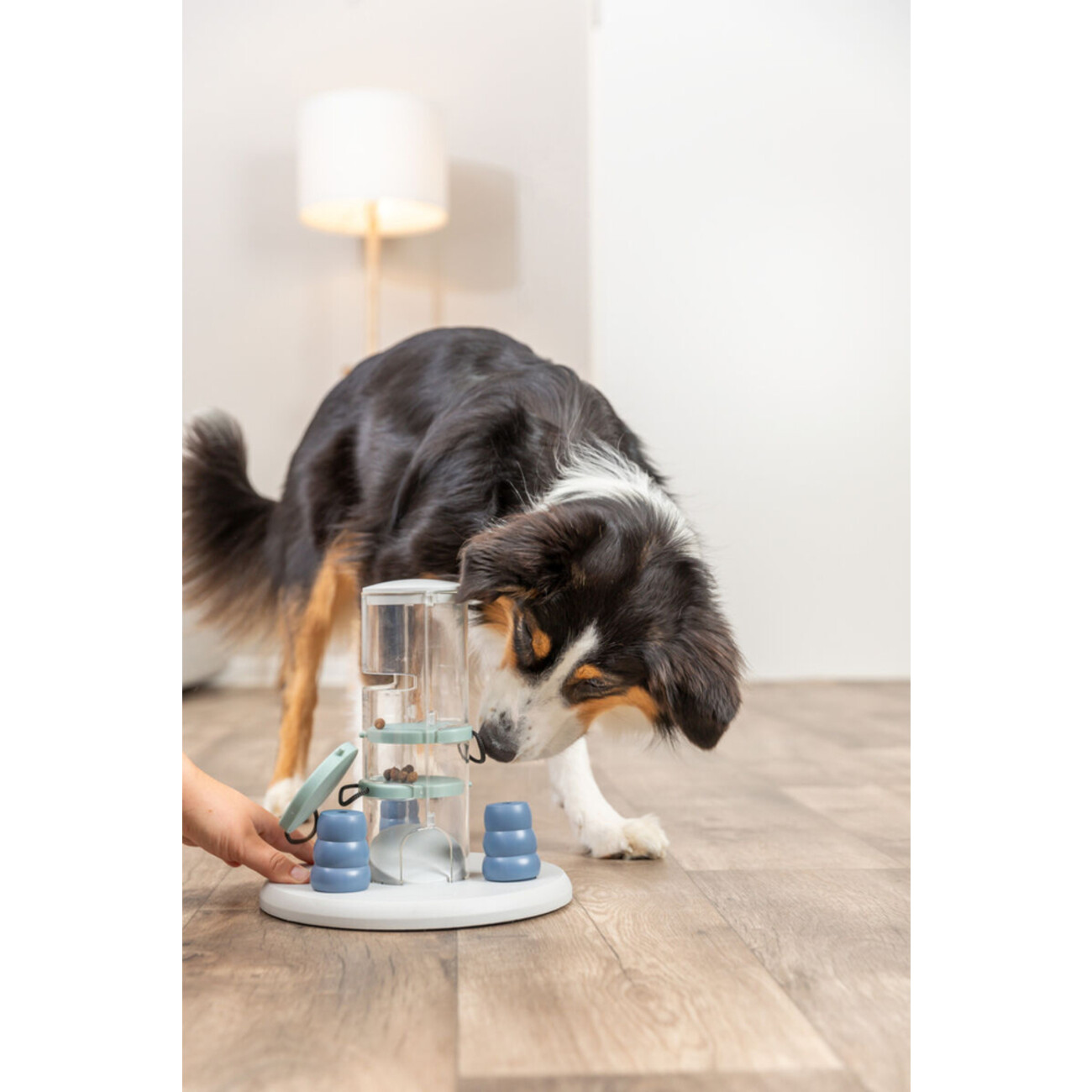 Dog Activity Strategiespiel Gambling Tower für Hunde Bild 2