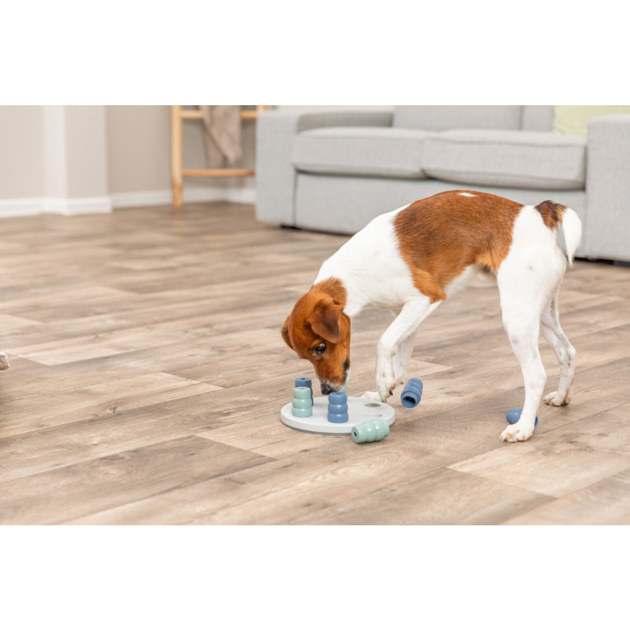 Dog Activity Strategiespiel Mini Solitär für Hunde Bild 5