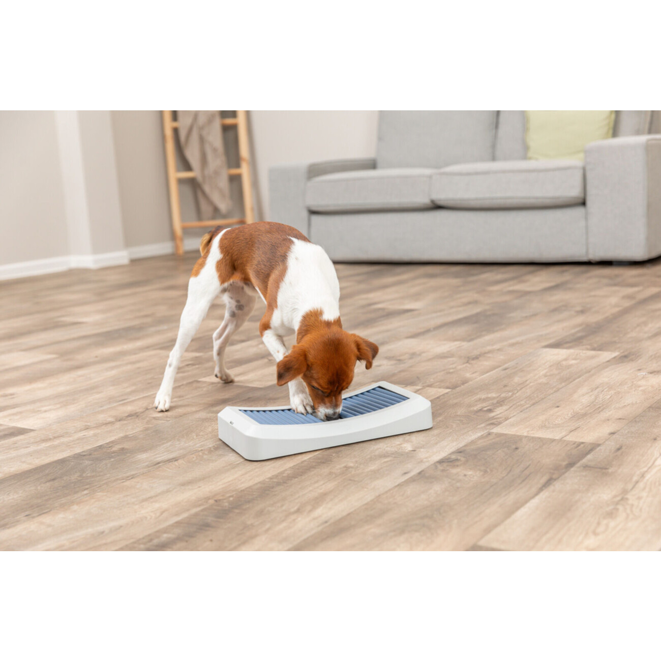 Dog Activity Stäbchenspiel Rod Board aus Kunststoff für Hunde Bild 7