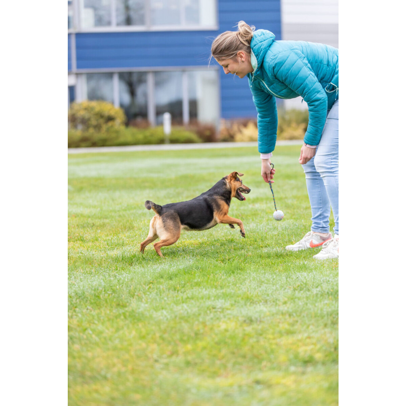 Hundeball am Seil Bild 2