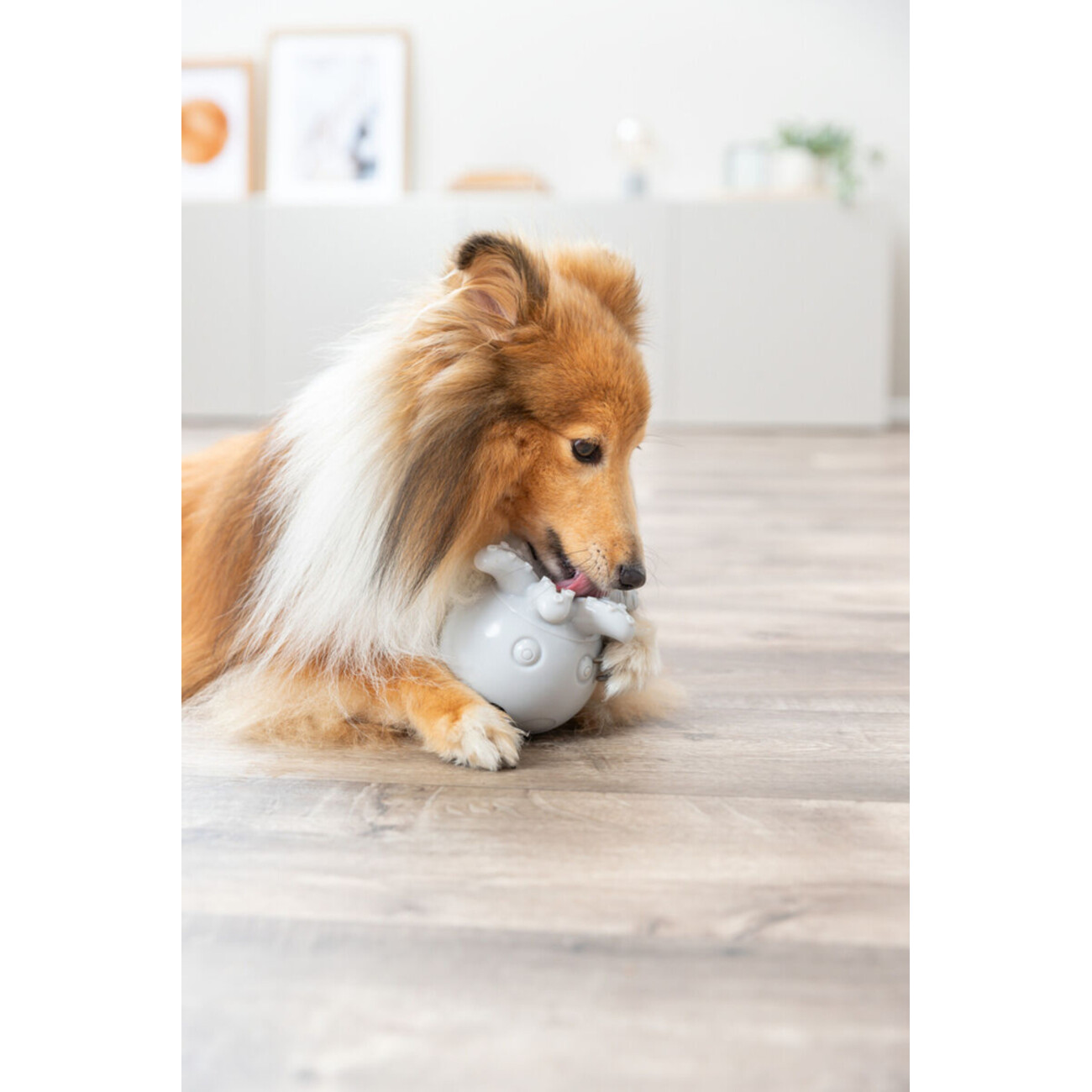 Hunde Snack-Oktopus Bild 5