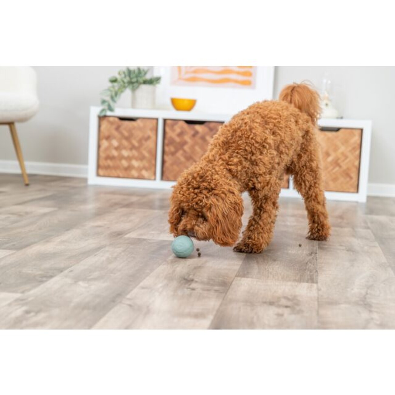 Labyrinth-Snacky Hunde Snackball Bild 2