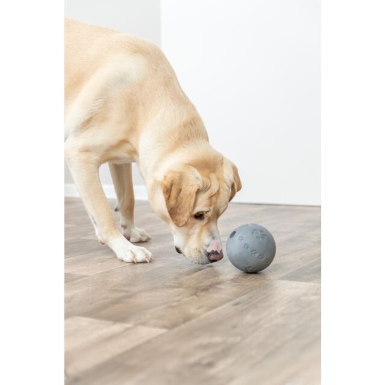 Labyrinth-Snacky Hunde Snackball Bild 6