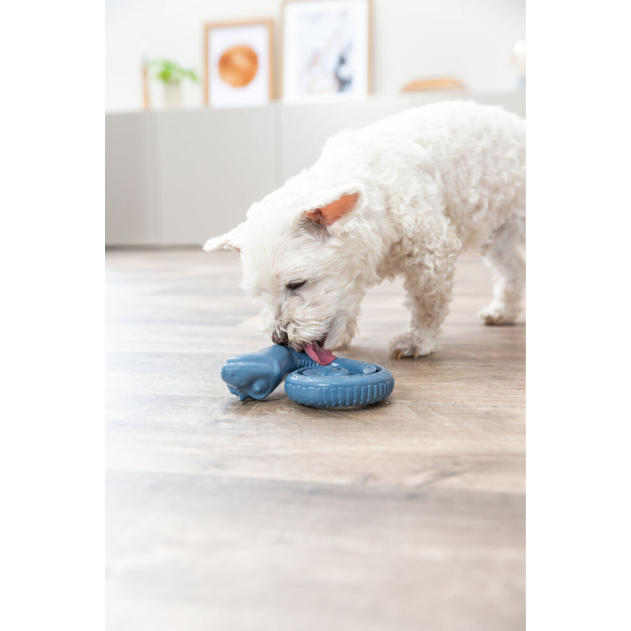 Snack-Snake eingerollt Bild 2