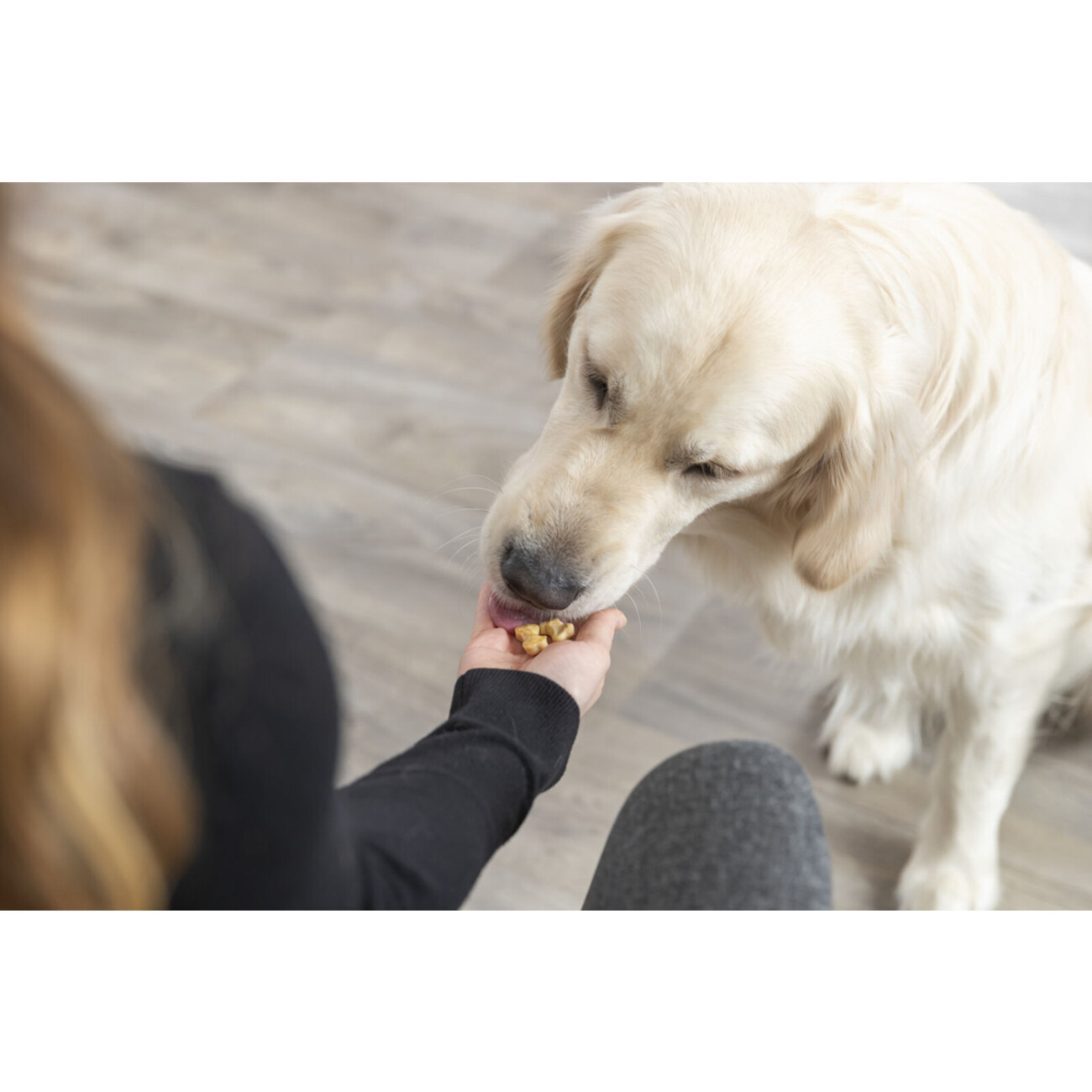 Backmatte für die Herstellung von Hundeleckerlis und Katzenleckerlis Bild 9