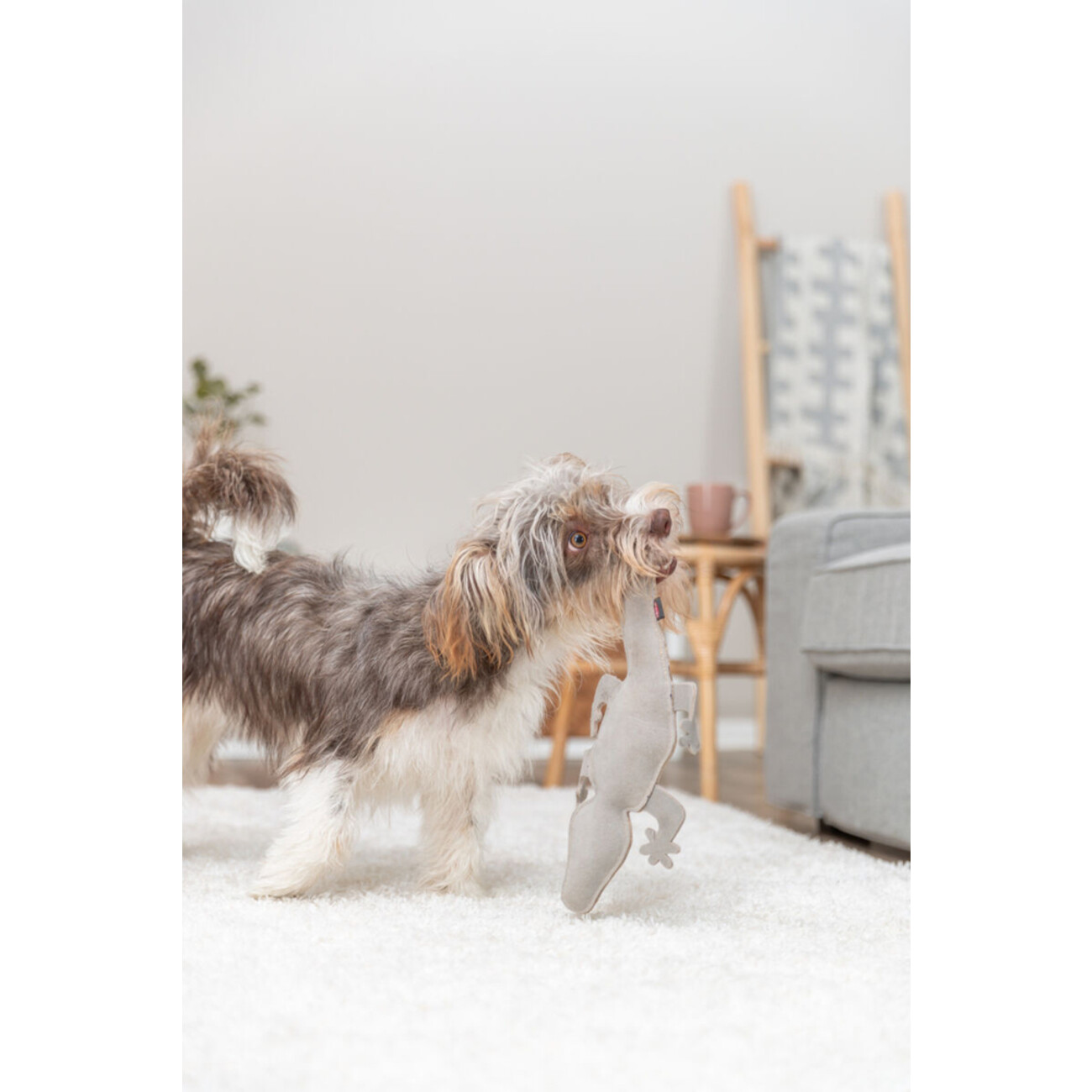 Hundespielzeug Salamander aus Echtleder Bild 2