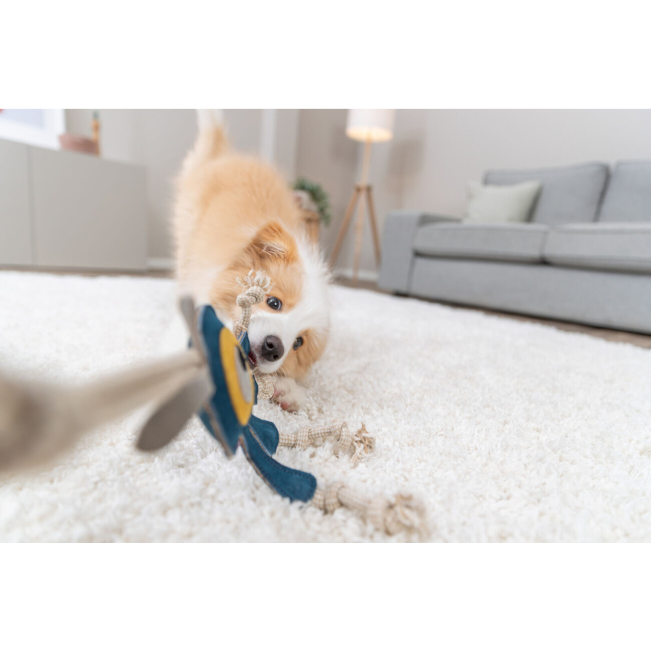 Monster am Tau aus Echtleder Bild 2