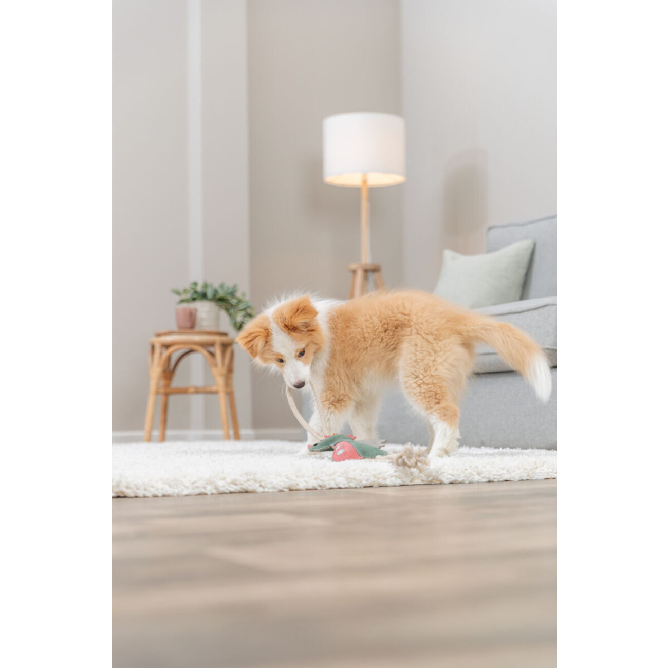 Hundespielzeug Drache am Tau, aus Echtleder/Tau Bild 2