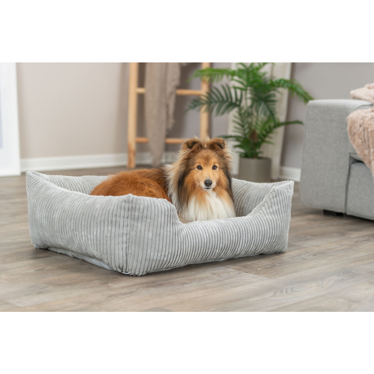 Orthopädisches Hundebett Vitalbett Jonna aus Cordplüsch Bild 4