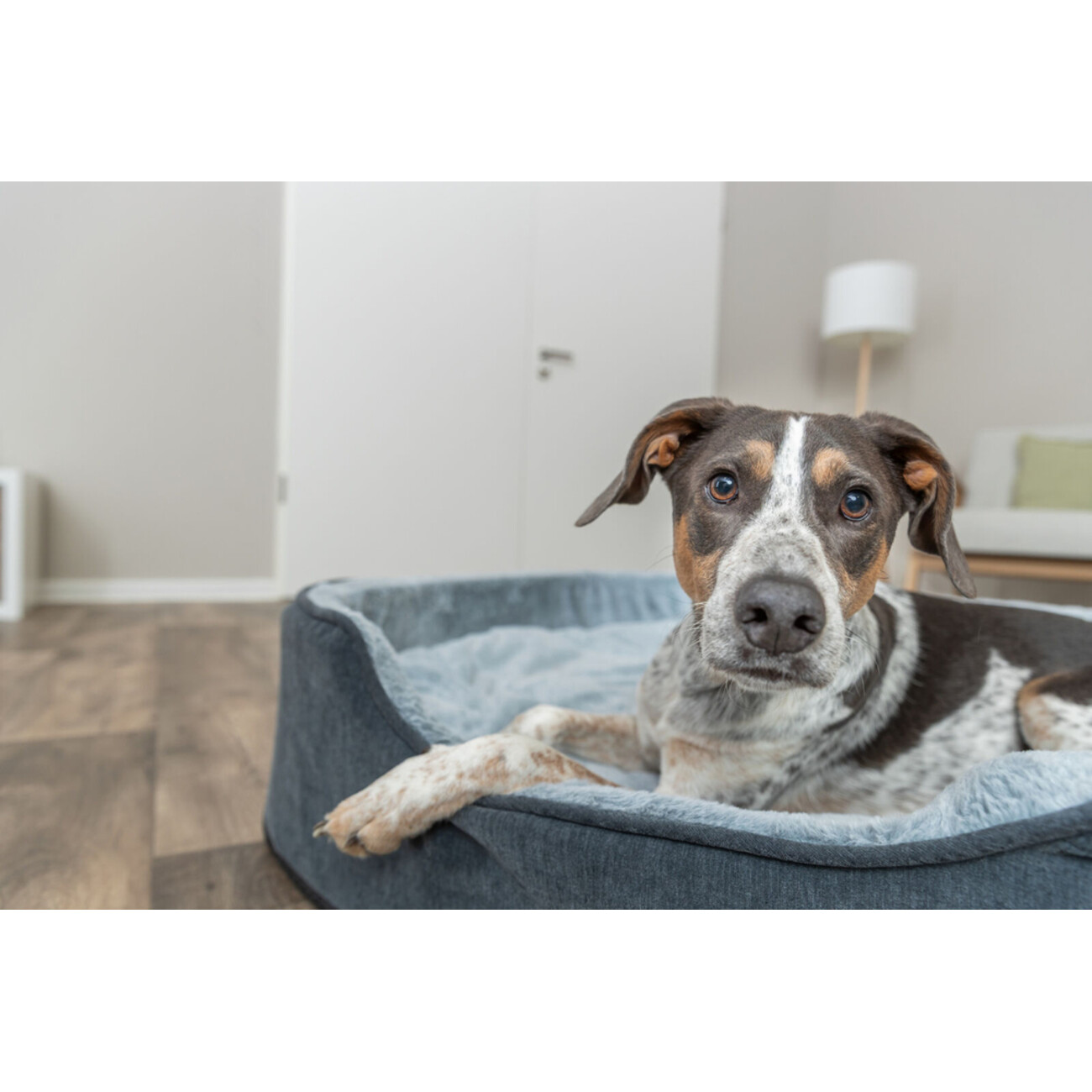 orthopädisches Vital Bett Lino Soft Edition Bild 6