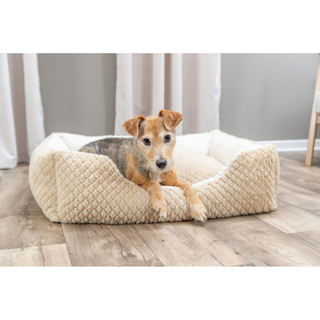 Bett Kaline Mio, eckig für Hunde Bild 2