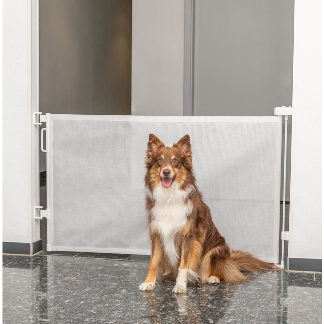 Absperr-Rollo Bild 1