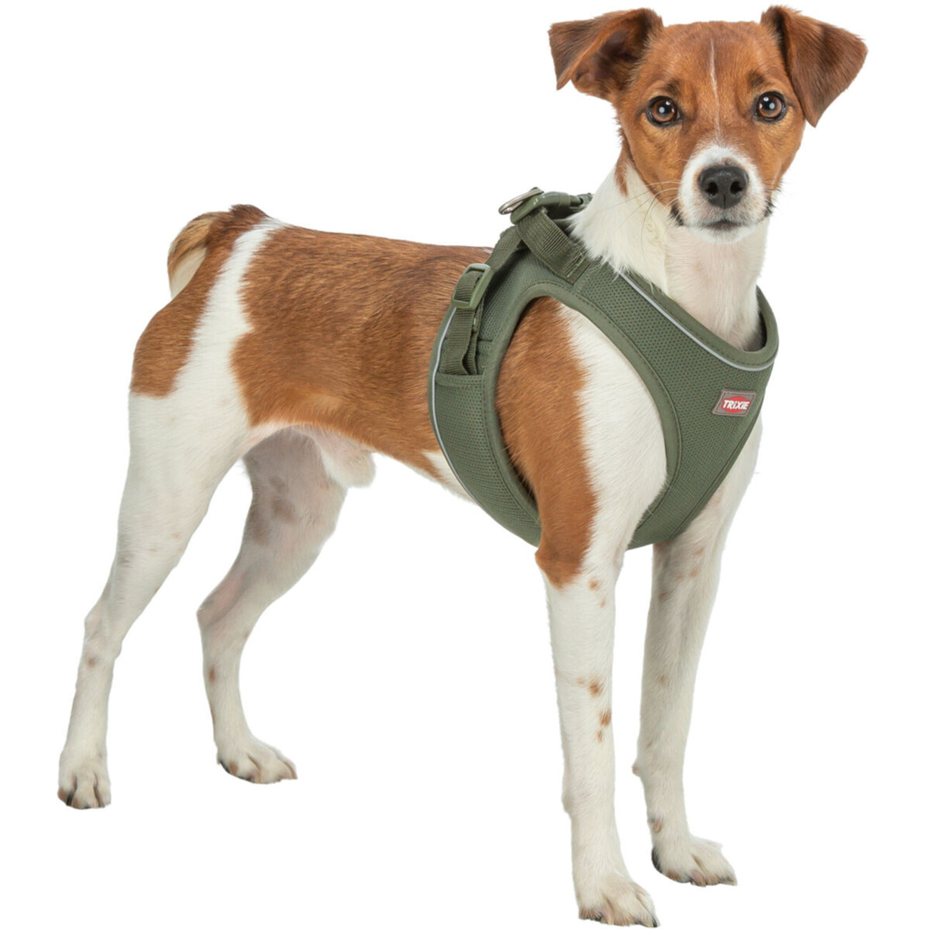 TRIXIE Premium UrbanVest Geschirr: Komfort & Sicherheit für Deinen Hund Bild 1