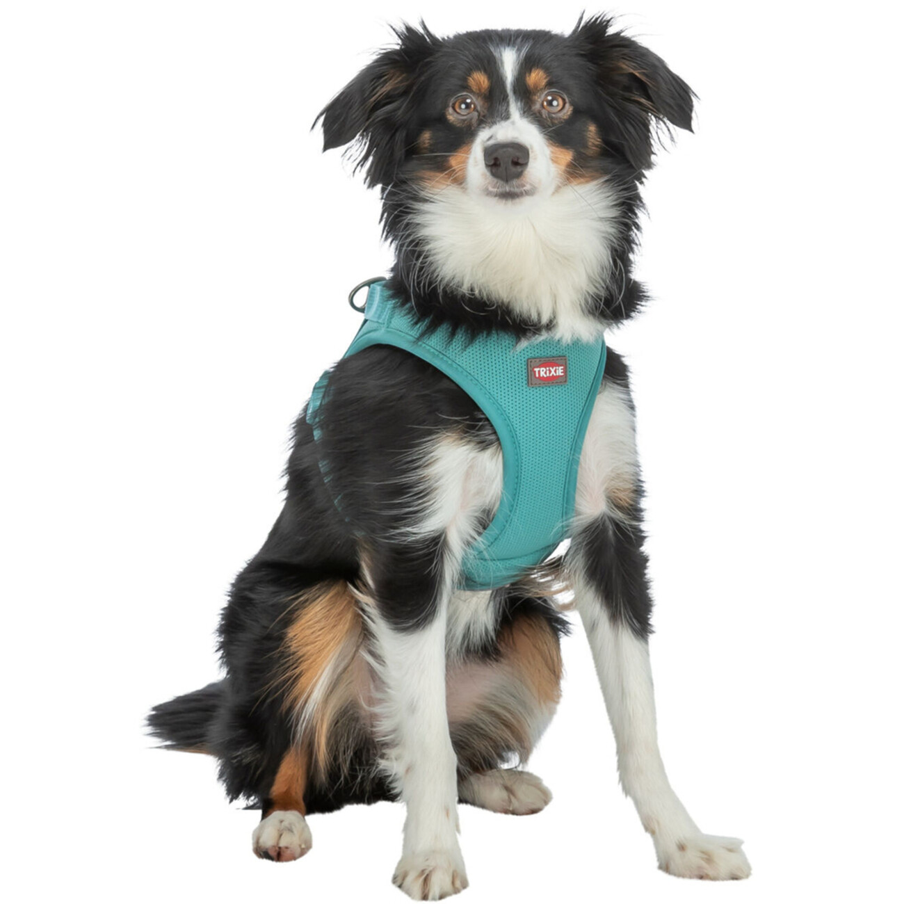 TRIXIE Premium UrbanVest Geschirr: Komfort & Sicherheit für Deinen Hund Bild 6