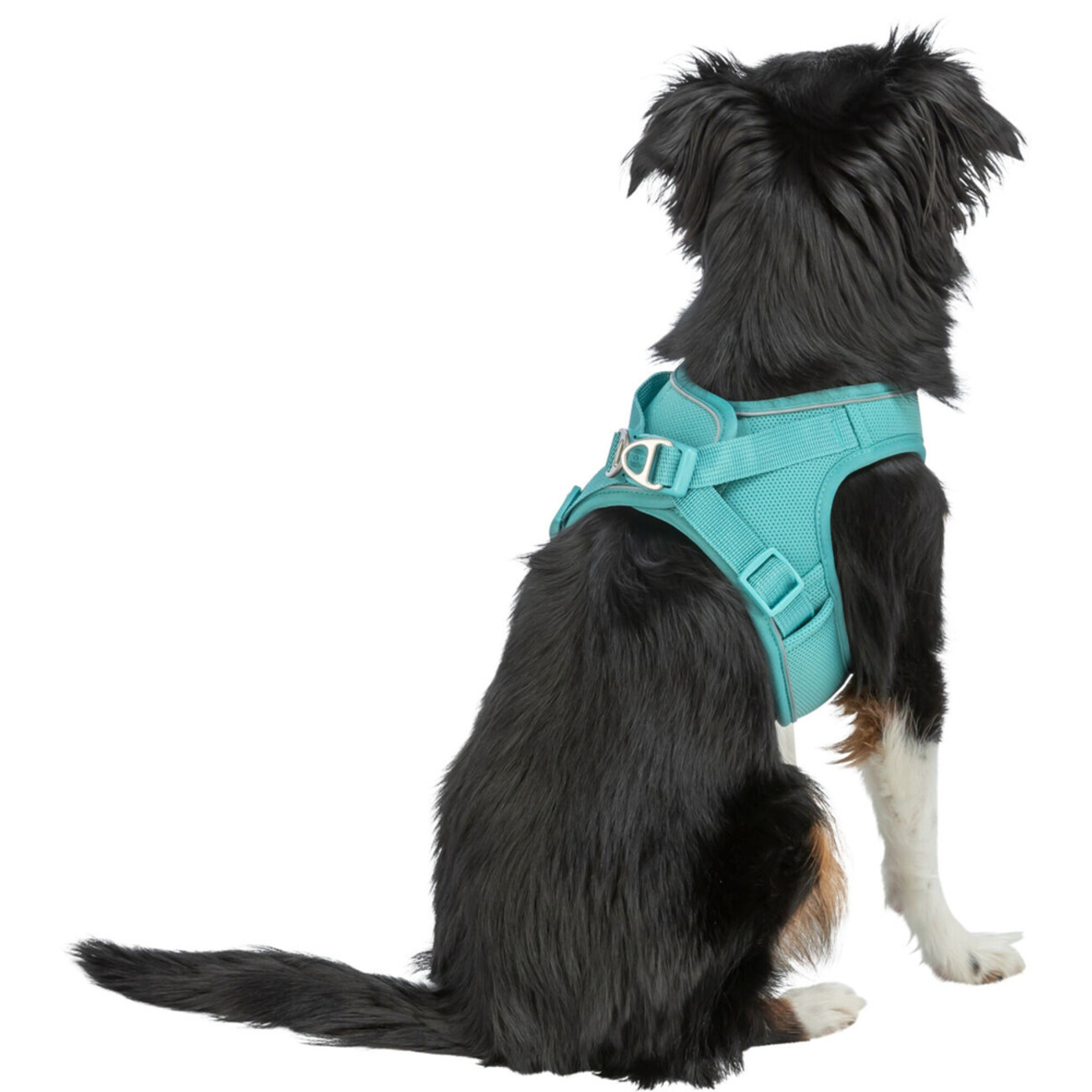 TRIXIE Premium UrbanVest Geschirr: Komfort & Sicherheit für Deinen Hund Bild 7