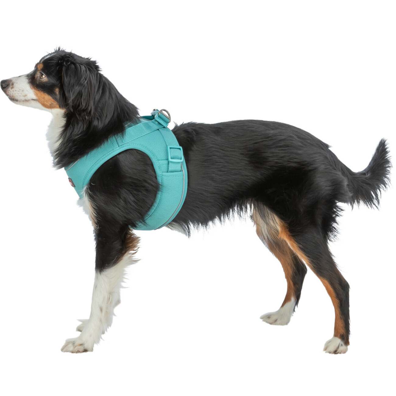 TRIXIE Premium UrbanVest Geschirr: Komfort & Sicherheit für Deinen Hund Bild 8