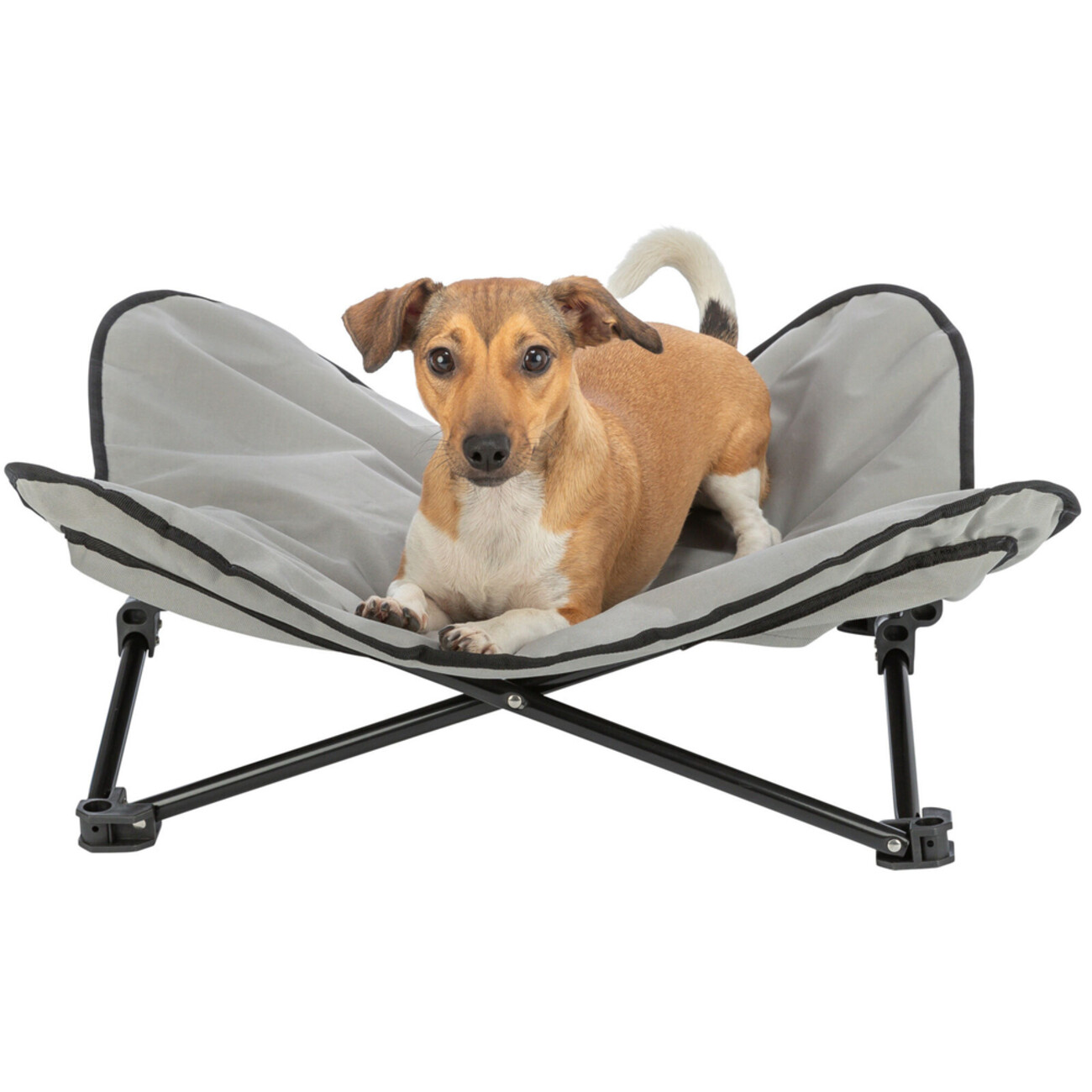 Hunde Camping-Bett mit Transporttasche Bild 7