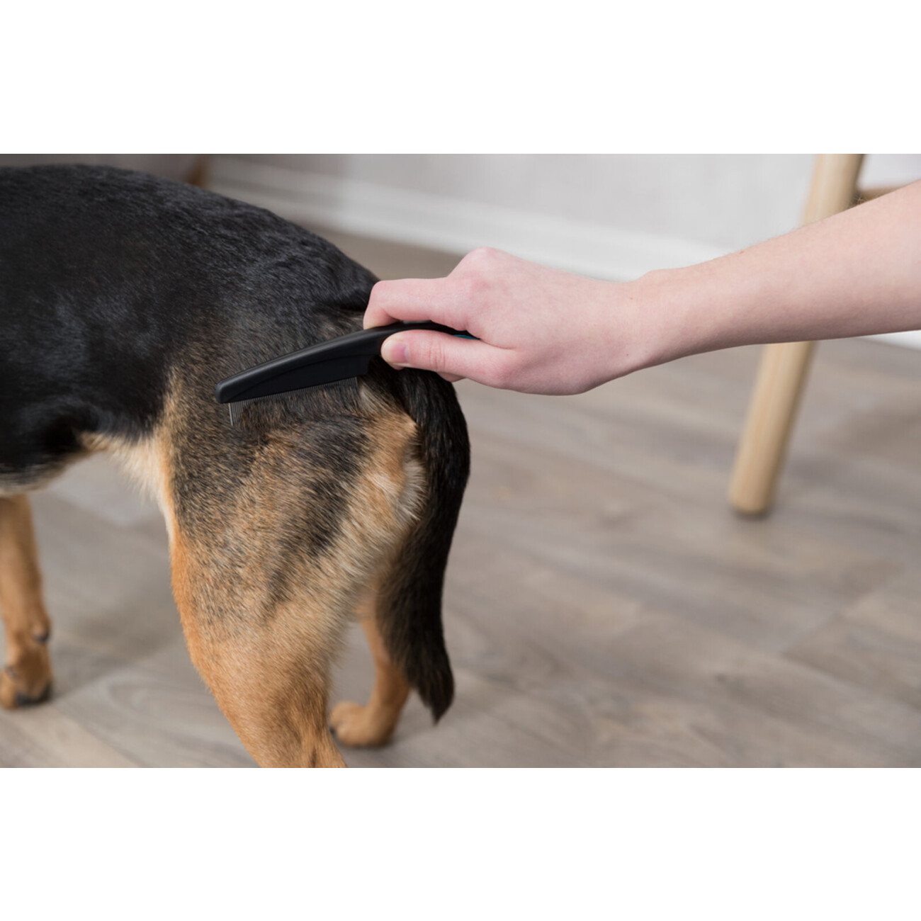 Flohkamm Läusekamm für kleine Hunde Bild 3