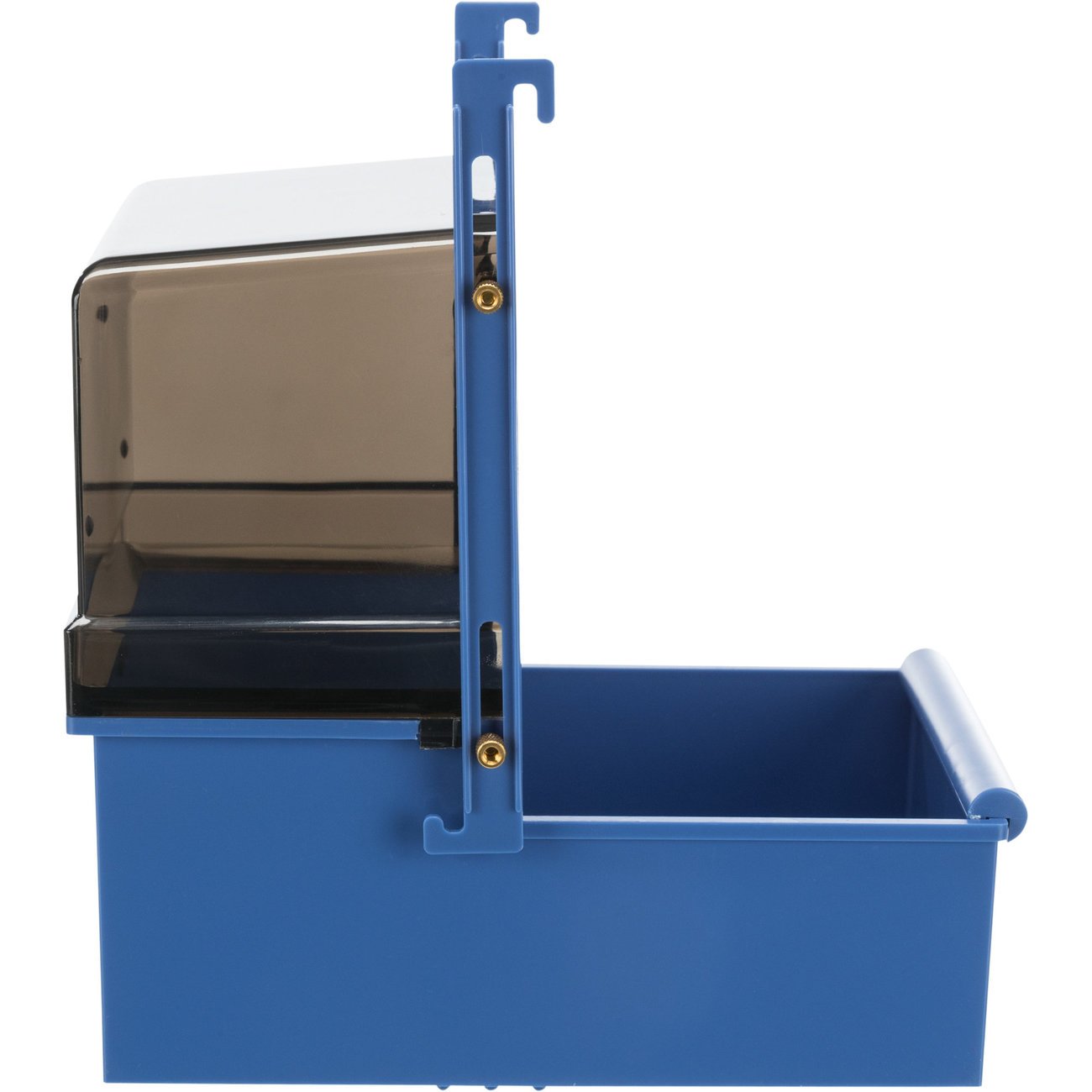 Papageien Badehaus Bild 3