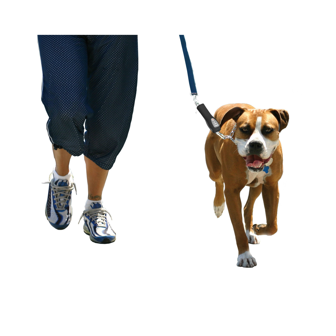PatentoPet DOG-e-Walks Dog Trainer Basic Bild 2