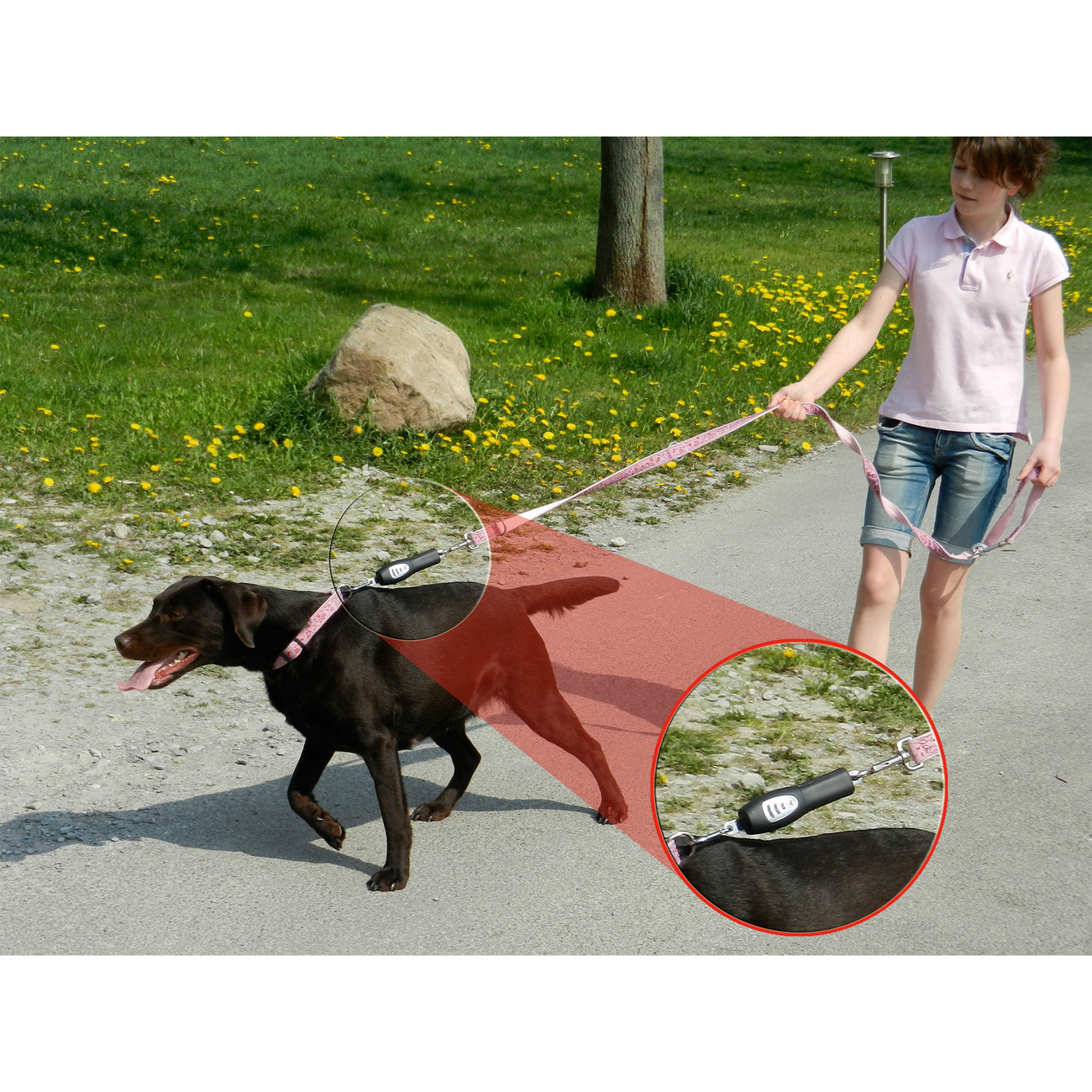 PatentoPet DOG-e-Walks Dog Trainer Basic Bild 3
