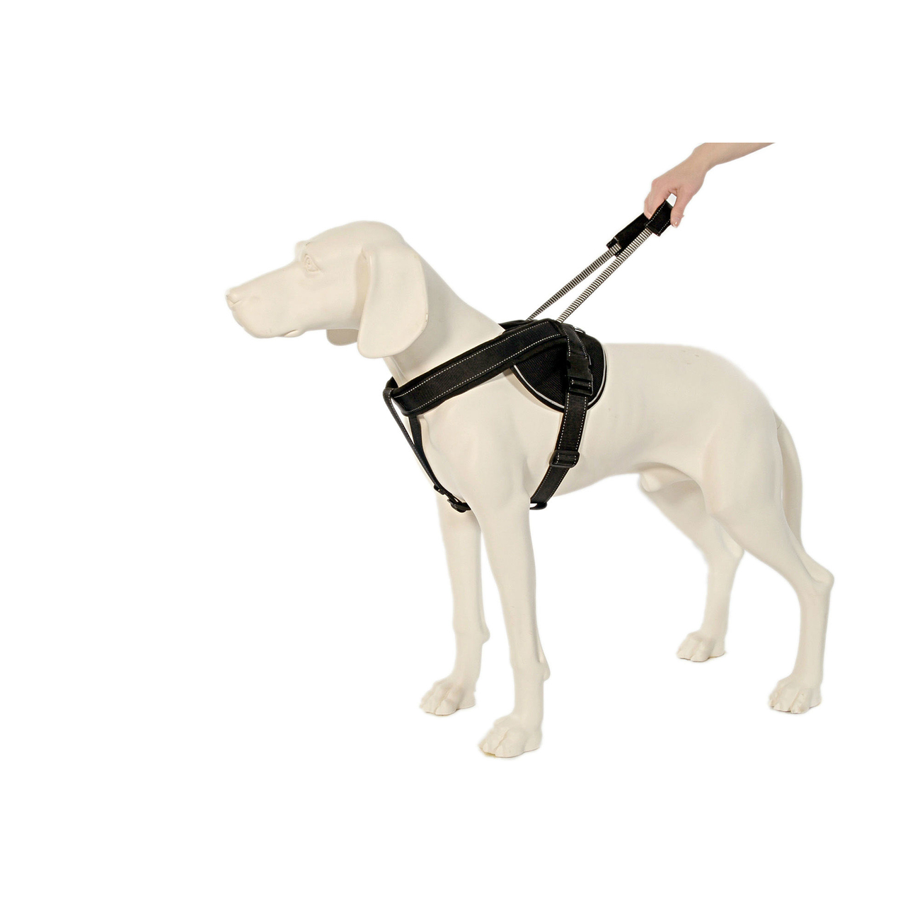 PatentoPet Jockey Geschirr mit Leine Bild 3