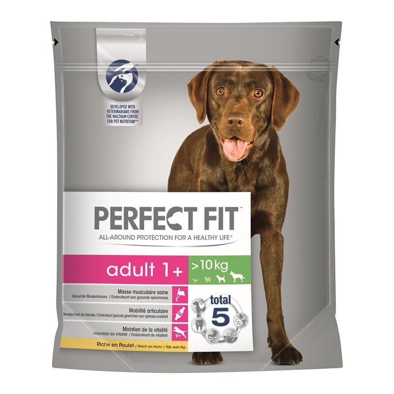 Perfect Fit Dog Adult 1+ Hundefutter Bild 2