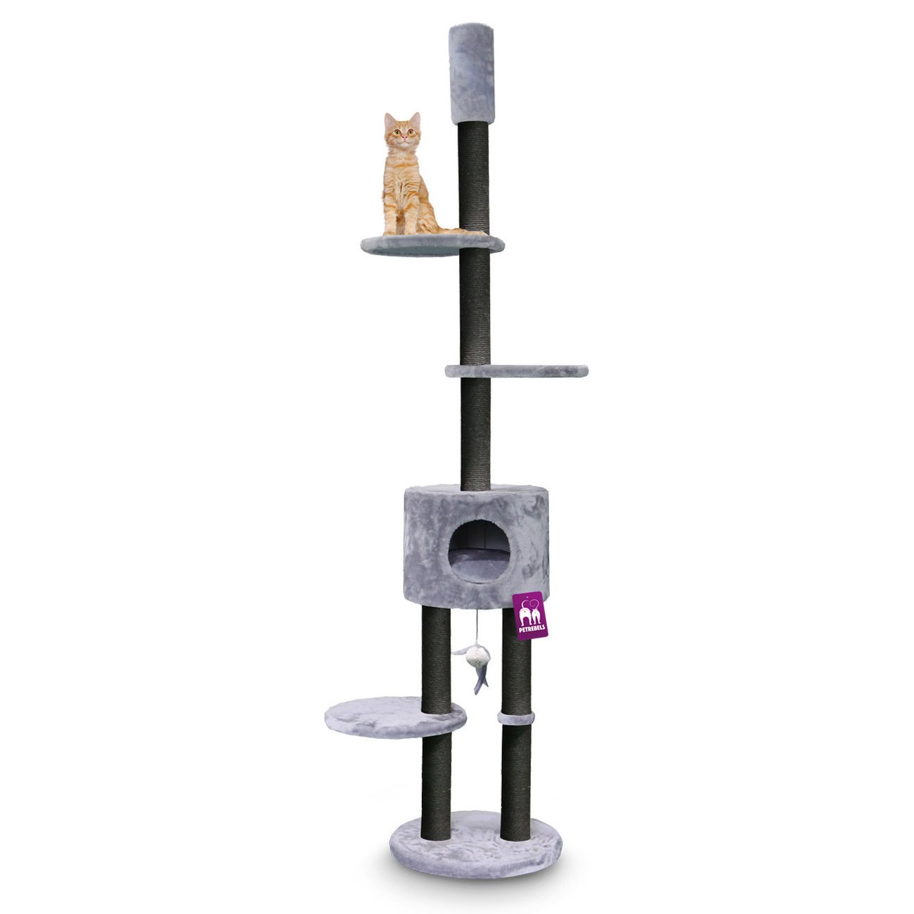 Deckenkratzbaum Anna Bild 2