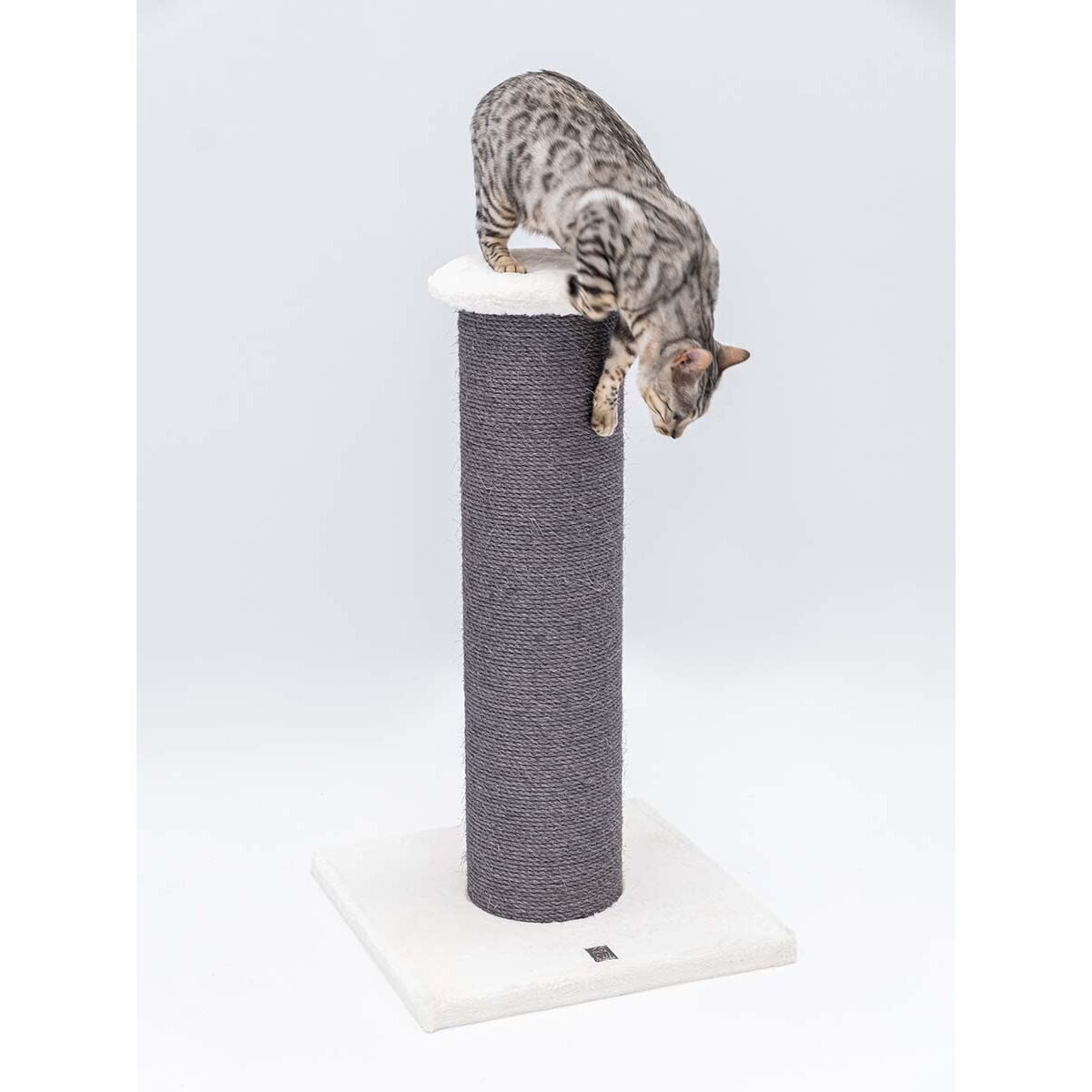 Dicke Kratzsäule Savannah Bild 3