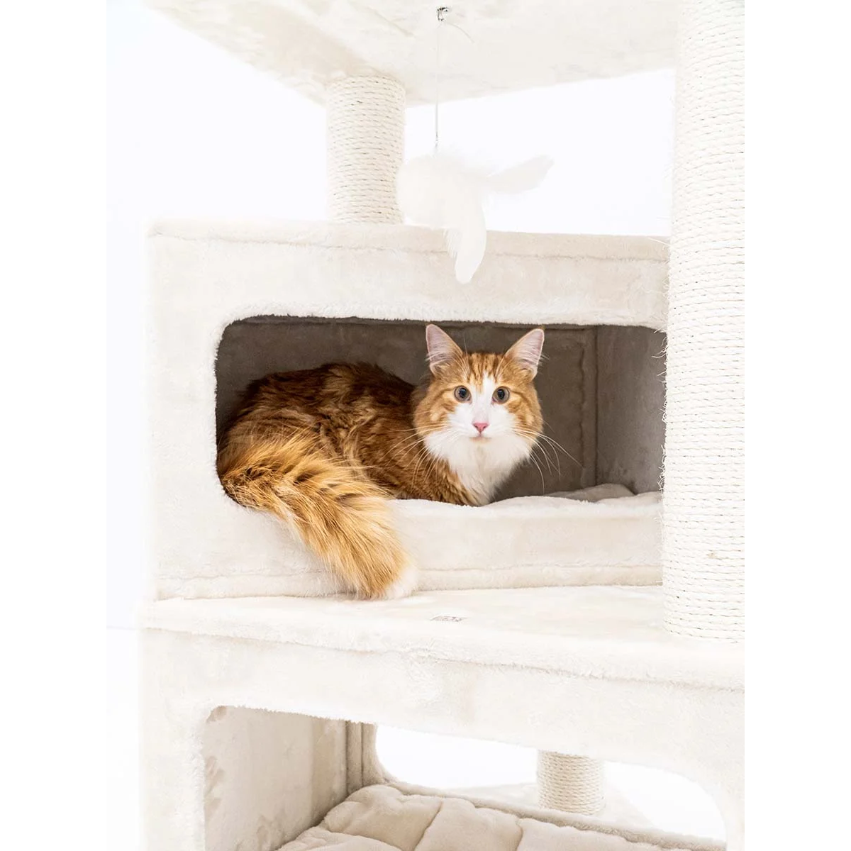 Kratzbaum Mansion mit Höhlen Bild 2