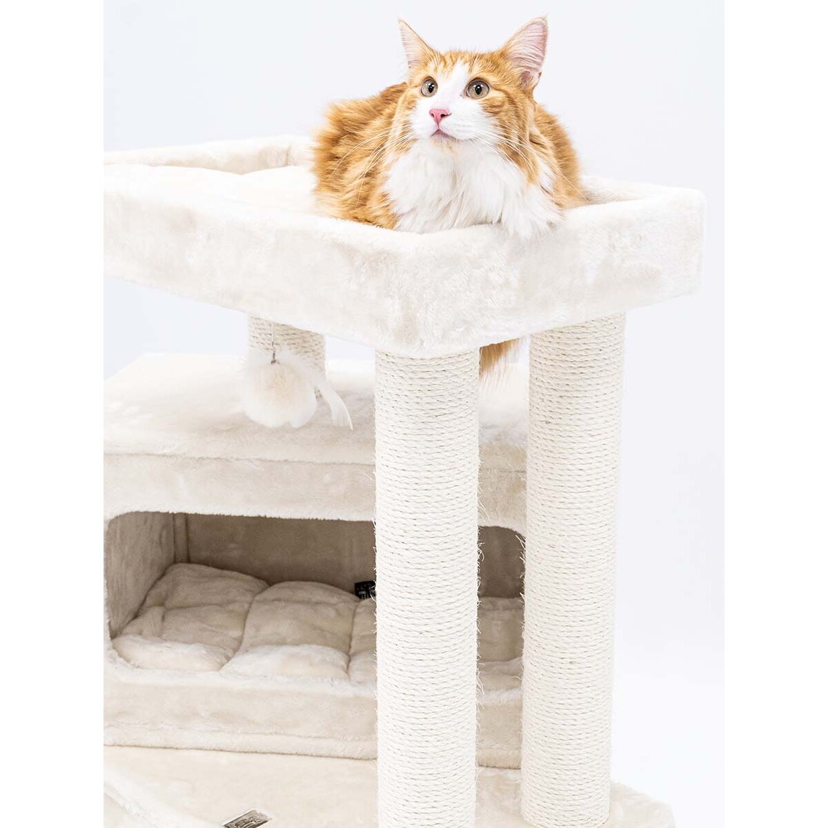 Kratzbaum Mansion mit Höhlen Bild 3