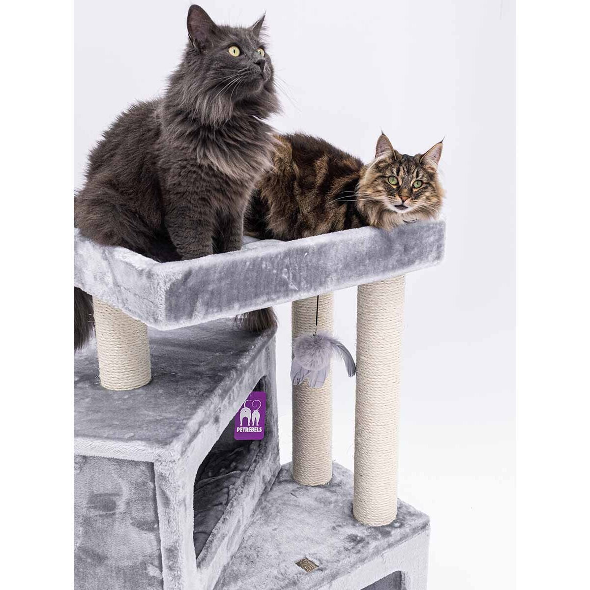 Kratzbaum Mansion mit Höhlen Bild 8