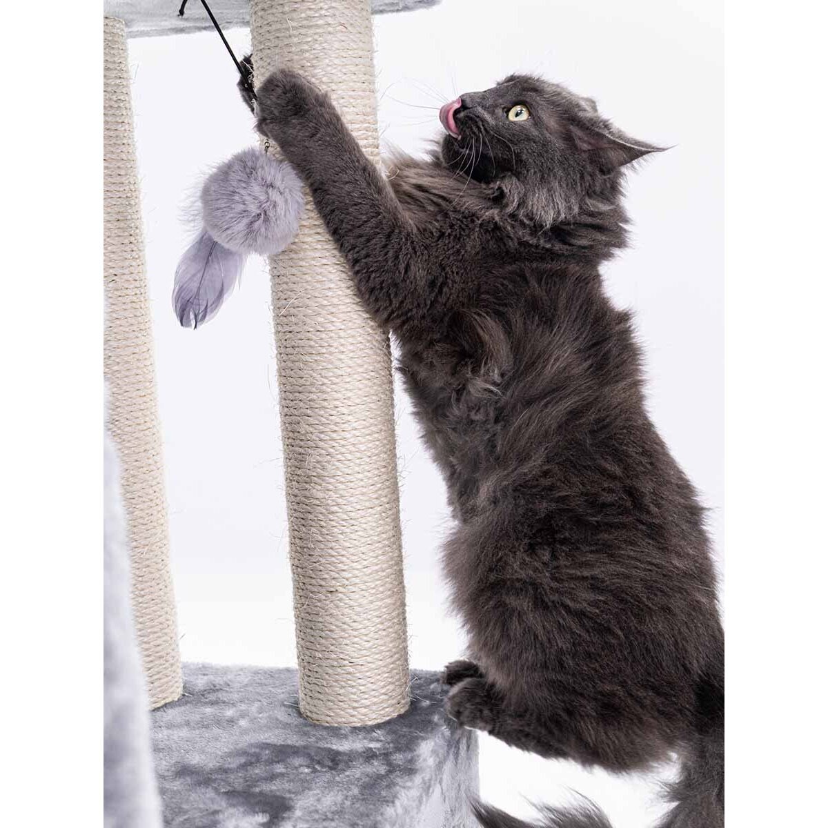 Kratzbaum Mansion mit Höhlen Bild 5