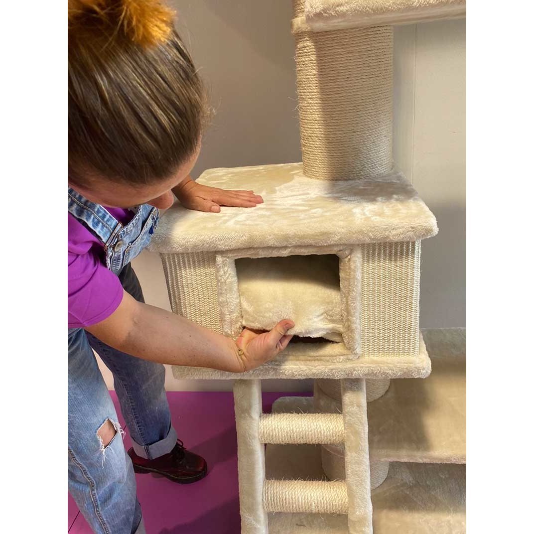 Kratzbaum Ragdoll Kletterparadies Bild 8