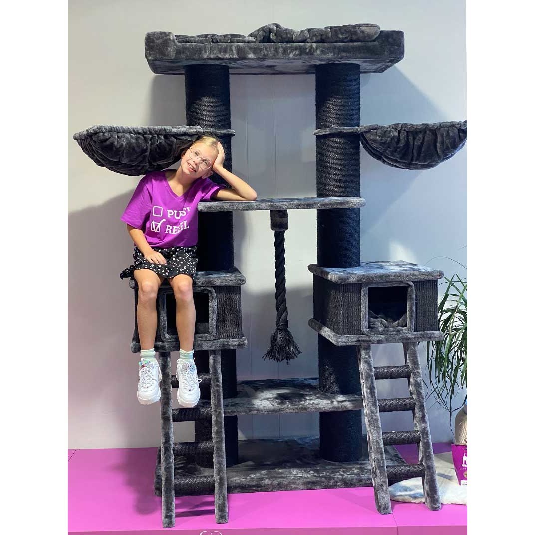 Kratzbaum Ragdoll Kletterparadies Bild 4