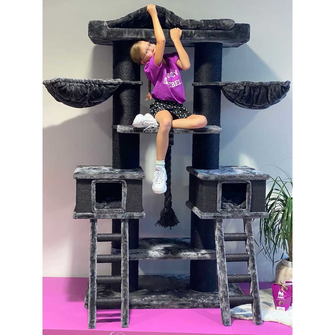 Kratzbaum Ragdoll Kletterparadies Bild 6