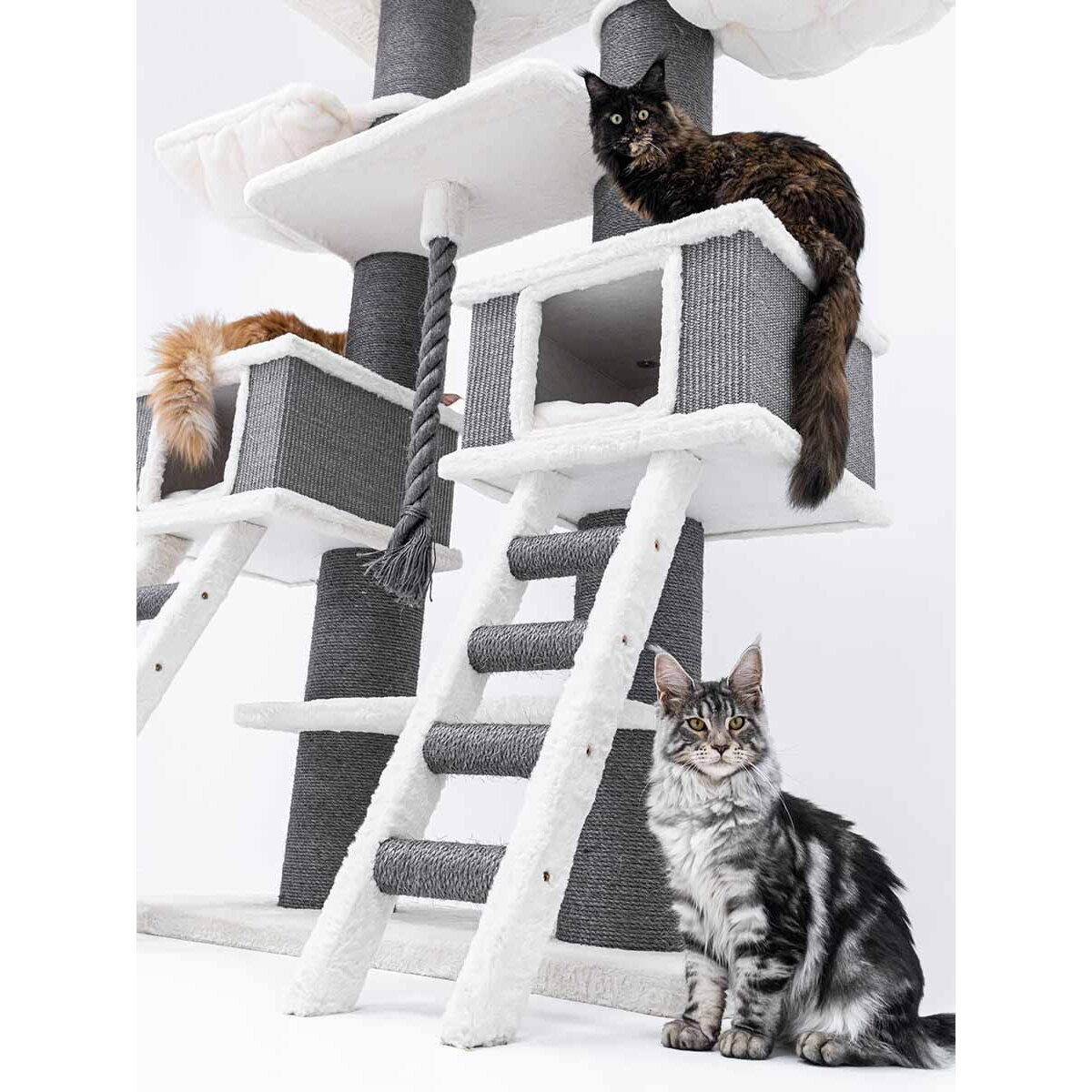 Kratzbaum Ragdoll Kletterparadies Bild 3