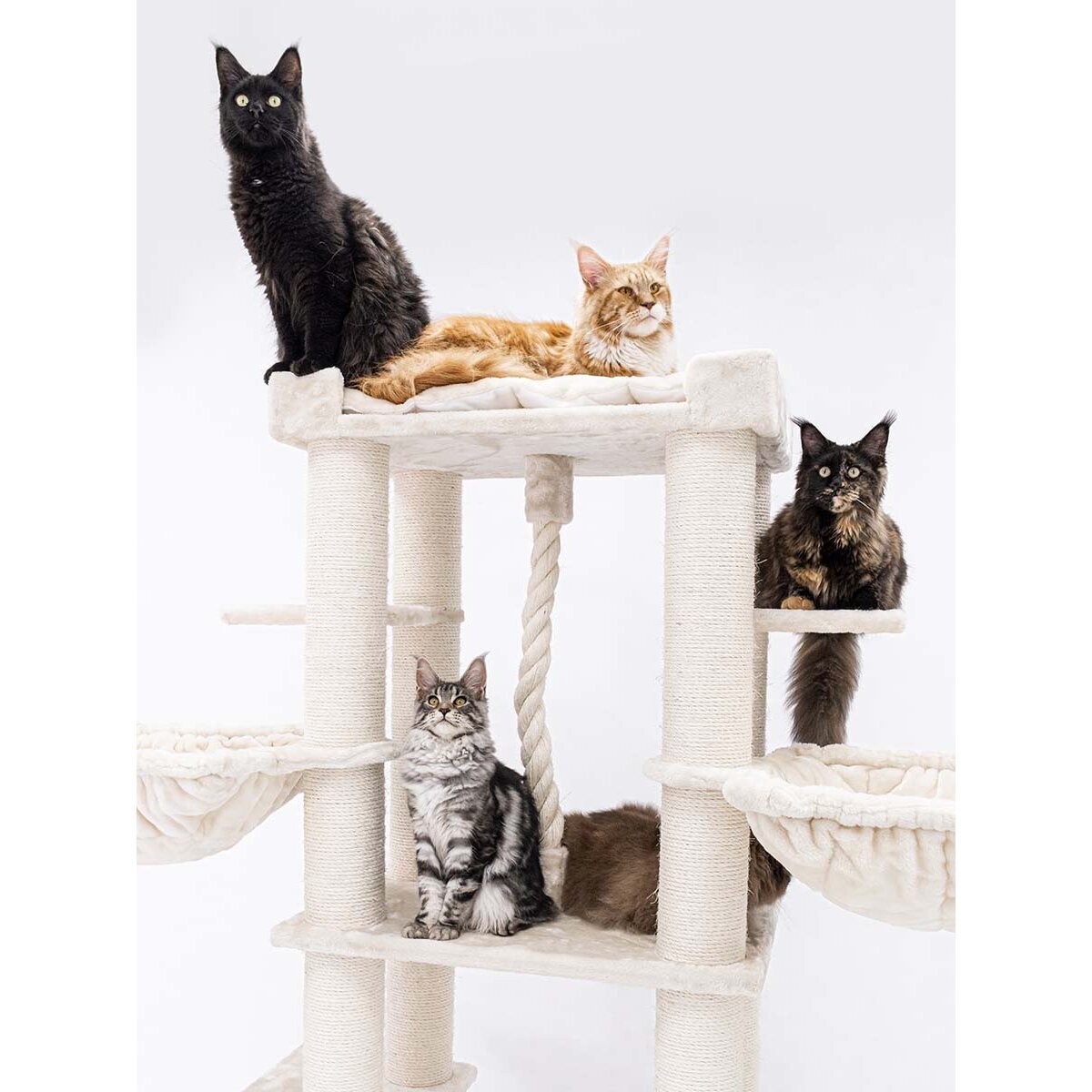 Luxus Kratzbaum Riverview Bild 2