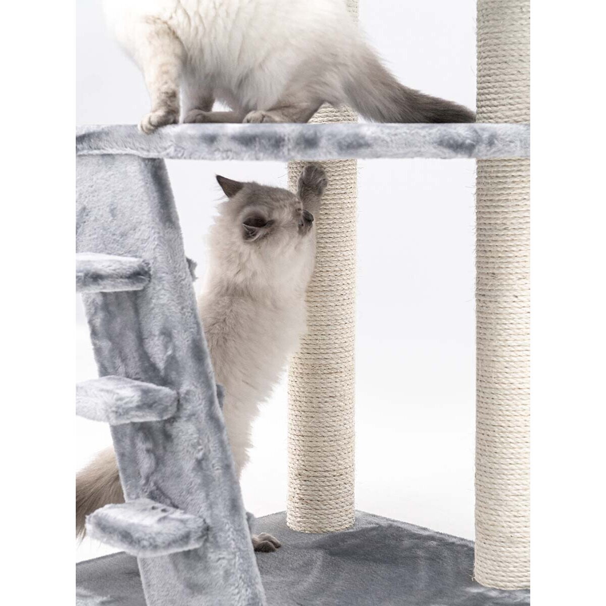 Reno Kratzbaum für ältere Katzen von Petrebels günstig bestellen tiierisch.de