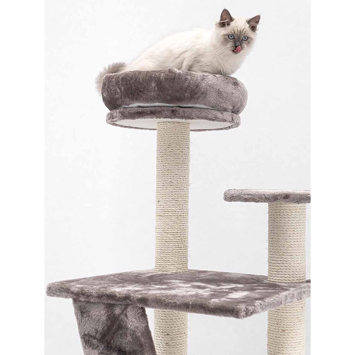 Folpus Katzentoiletten-Stufe Schwarz - Katzenstreumatte Mit Rutschfesten Beinen - Für ältere Katzen & Kätzchen