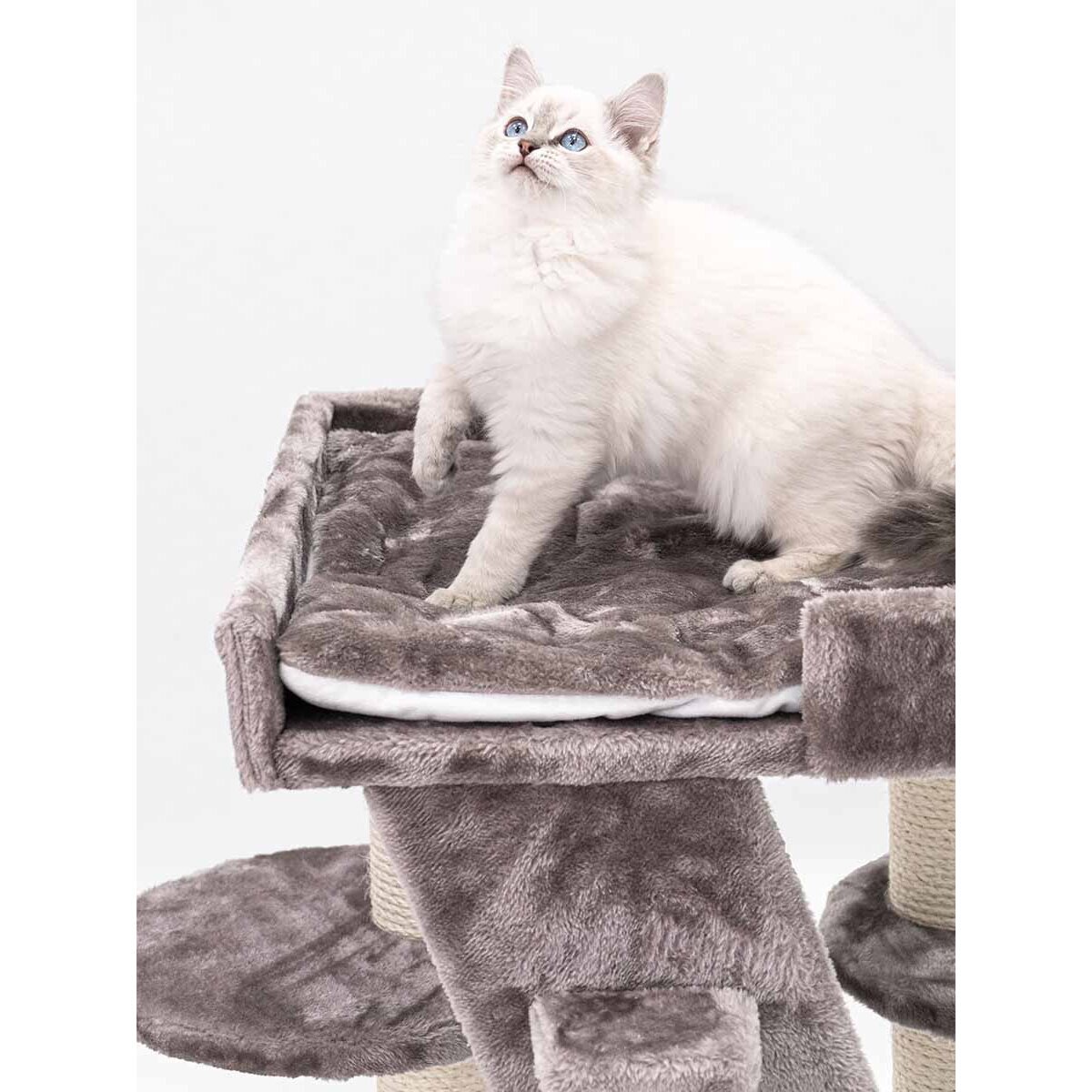 Senior Kratzbaum Tucson Bild 4