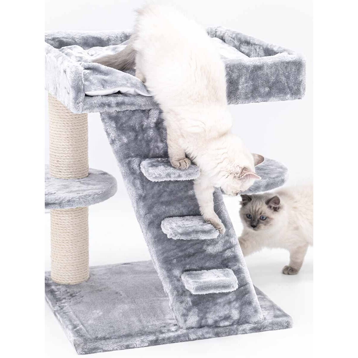 Senior Kratzbaum Tucson Bild 2