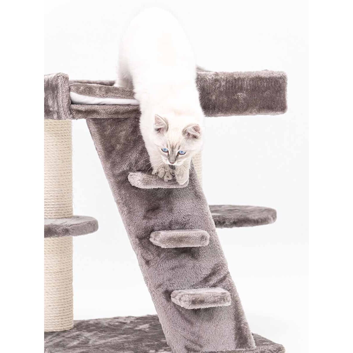 Senior Kratzbaum Tucson Bild 5