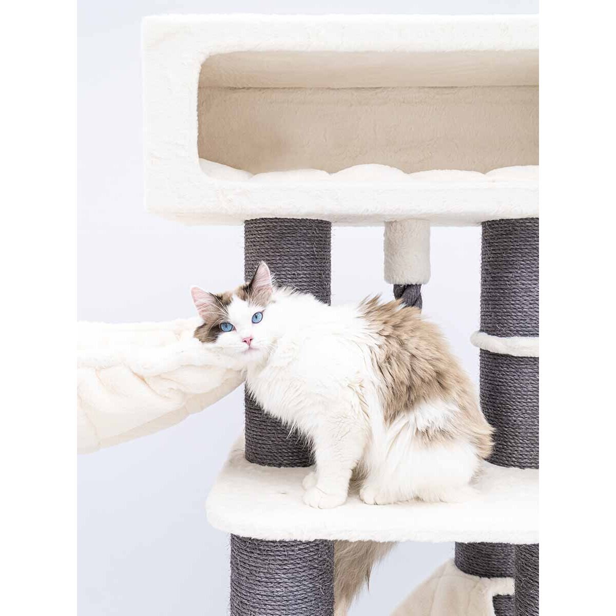 XXL Kratzbaum Skybox Bild 3