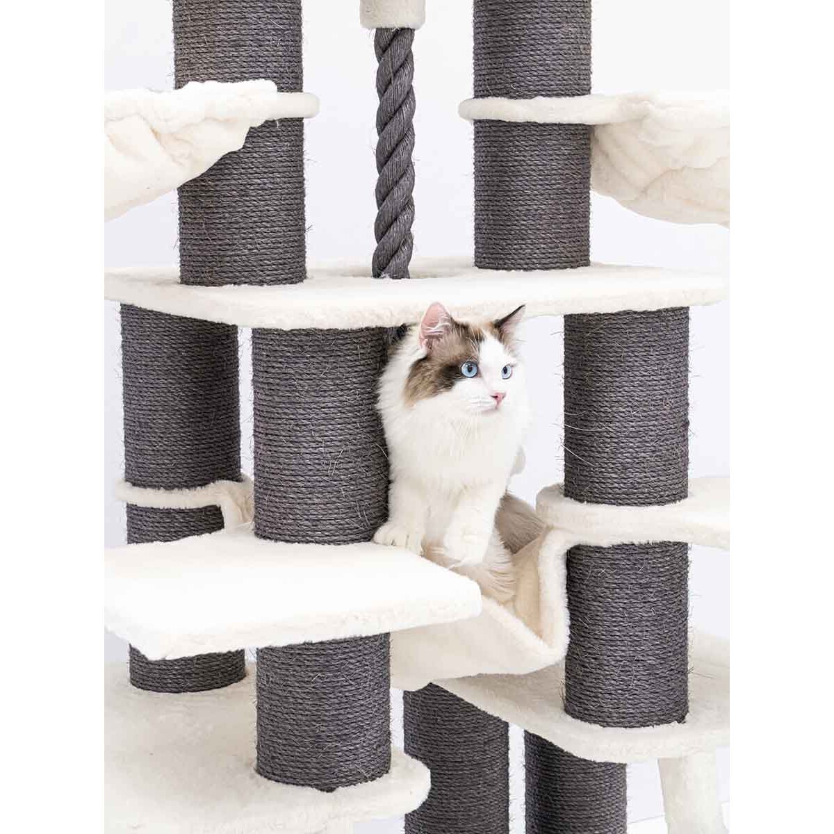 XXL Kratzbaum Skybox Bild 2