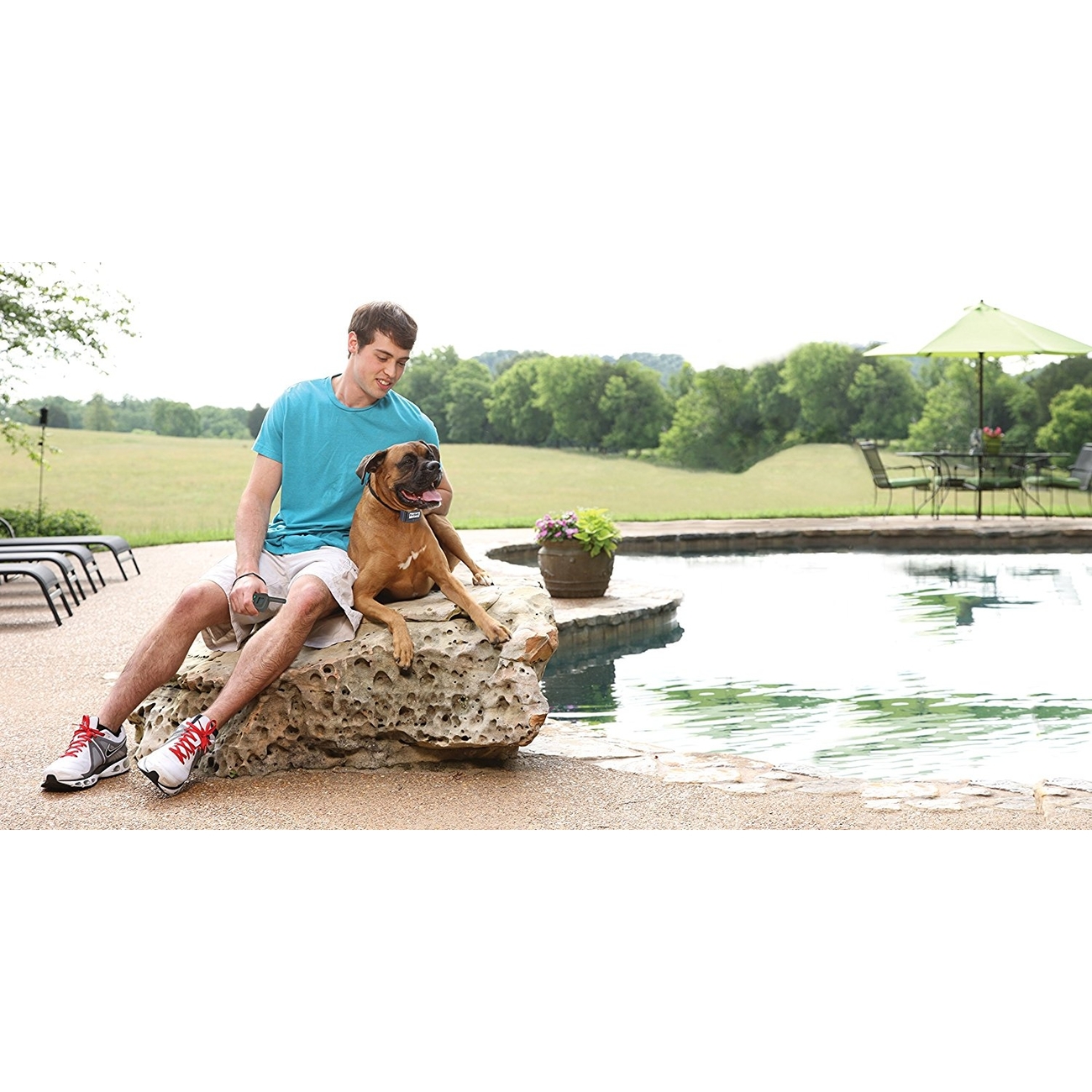 Petsafe Deluxe Remote Spray Trainer Bild 2