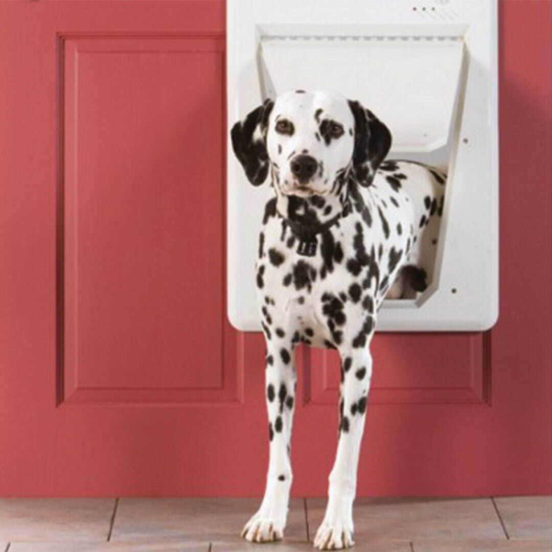 Petsafe SmartDoor elektronische Hundeklappe Bild 3