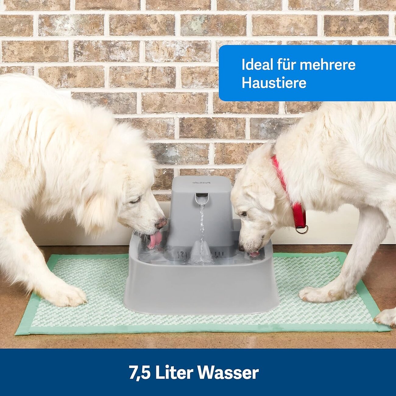 PetSafe Trinkbrunnen Drinkwell Bild 2