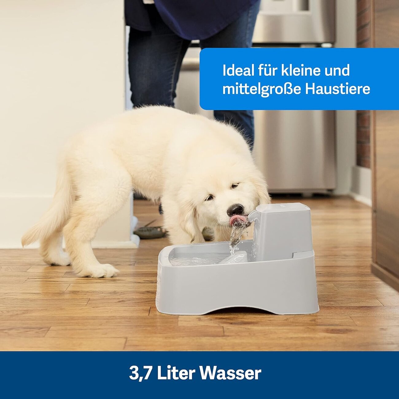PetSafe Trinkbrunnen Drinkwell Bild 5