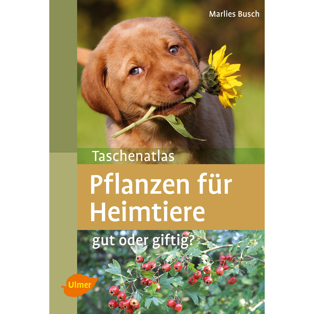 Pflanzen für Heimtiere Bild 1
